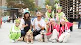 【本地旅遊】發展局辦連串復活節活動 可帶同寵物參加 - 香港經濟日報 - TOPick - 新聞 - 社會