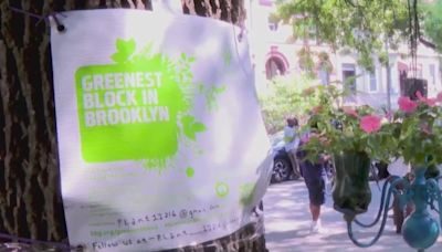 Crown Heights residents celebrate 3rd win in ‘Greenest Block in Brooklyn’ contest