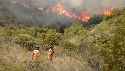 El PSPV denuncia que la remodelación del Consell deja en el aire las ayudas para prevención de incendios