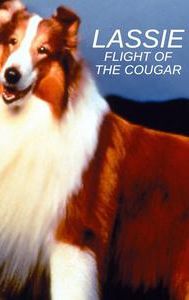 Lassie: Flight of the Cougar