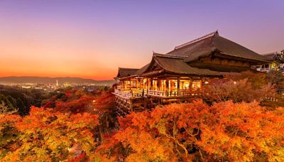 京都賞楓王者通天橋、琉璃光院絕美紅葉倒影、清水寺楓紅圍繞...京都寺院紅葉絕景Top5推薦！