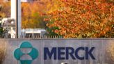 Concern over Merck's Gardasil sales in China sink shares