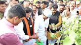 Indore: 50k People To Break Record By Planting 11 Lakh Trees On July 14