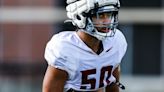 WSU edge Lawrence Falatea enters transfer portal, becoming fourth Coug to enter this spring