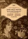 Environment (1917 film)