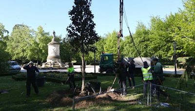 PARJAP 2024: plantación en la Taconera de un magnolio de 4,5 metros