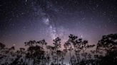 See Up to 50 Shooting Stars Per Hour As the Eta Aquarid Meteor Shower Peaks This Weekend