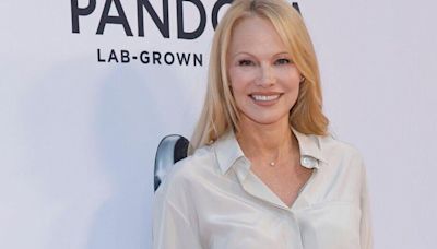 Pamela Anderson to star in The Naked Gun reboot