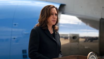 Actual Republicans surface in Arizona to support Kamala Harris