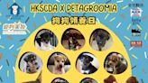 香港拯救貓狗協會明旺角辦狗狗領養日