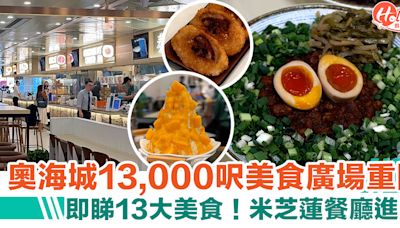 【奧海城美食廣場重開】13,000呎超大！13大美食推介：台蔡滷肉飯／永年士多車仔麵 | HolidaySmart 假期日常