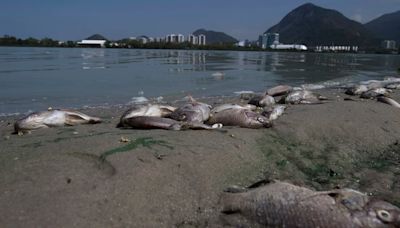 El legado ambiental olvidado: la batalla por limpiar las lagunas de Río tras los Juegos Olímpicos de 2016