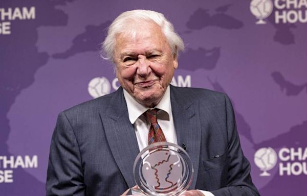 Sir David Attenborough confirms new ocean documentary