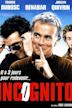 Incognito (2009 film)