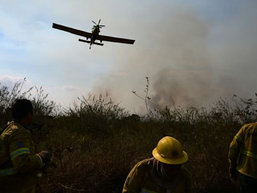 Del luto a la lucha: la historia de una bombera en el Pantanal brasileño