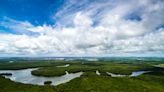 Protecting Amazon forests protects South Florida from climate change | Opinion