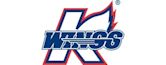 Kalamazoo Wings