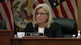 Liz Cheney says 'no rational or sane man' in Trump's position would say election was stolen