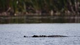 Only rain can end the tug-of-war over Lake Okeechobee levels amid drought