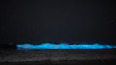 Glowing bioluminescence waves were spotted in Southern California again. Here's how to find them.