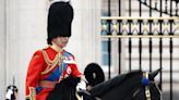 King pays tribute to troops to mark Armed Forces Day