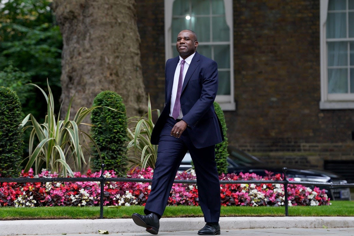 UK to target closer partnership with European Union, says David Lammy