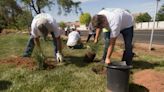 Citing drought and climate change, Utah governments are starting to tear out grass lawns