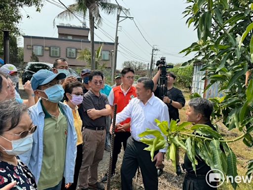 歸仁芒果花況差恐影響收成 王定宇邀農政單位會勘補助 | 政治 | Newtalk新聞