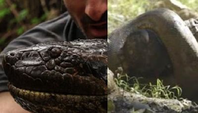 'Her Mouth Opened & Everything Went Black': Man Who Was Swallowed By An Anaconda Shares His Story