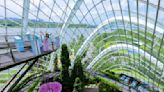 【這群記者（有片）】新加坡濱海灣花園「阿凡達體驗」實玩篇 沉浸式互動裝置境讓人好「入戲」