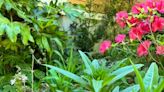 Ways to transform your garden with personality and creativity in Wilmington