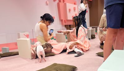 North West and Bianca Censori enjoy a day out cuddling micro pigs in Tokyo