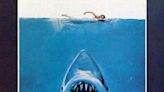 Model Who Posed As Ill-Fated Swimmer for Iconic Jaws Poster Preaches Shark Protection