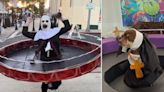 Los disfraces más virales de "la monja de la feria" en TikTok