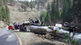 Tanker Crash Accidentally Releases 70,000 Salmon Into Wrong Oregon River