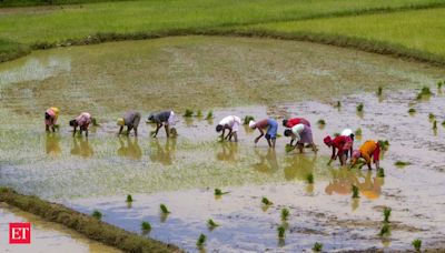 West Bengal agriculture minister outlines impact on climate change on rice production - The Economic Times