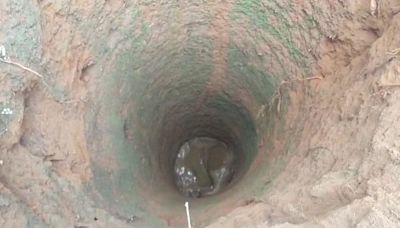 Baby elephant falls into 30-ft deep well in Gudalur; rescue operations on