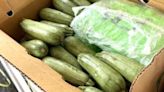Dogs help find 6 tons of meth hidden in squash shipment in California