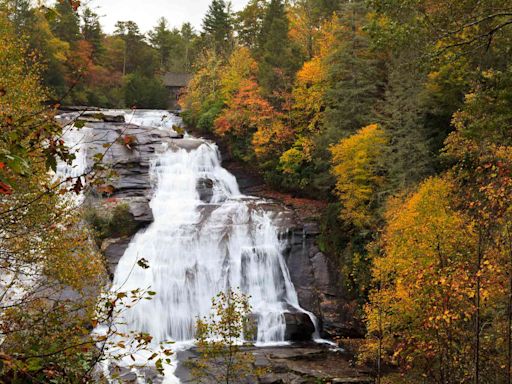 10 Best Places to See Fall Foliage in North Carolina