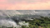 Ação humana causou 100% do fogo em maio e junho no Pantanal