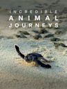 Incredible Animal Journeys