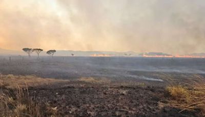 Incêndio destrói cerca de 10 mil hectares na Chapada dos Veadeiros, em Goiás