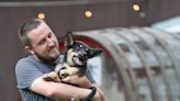 Crack open a cold one with your pooch at these 21 dog-friendly bars, wineries around Akron