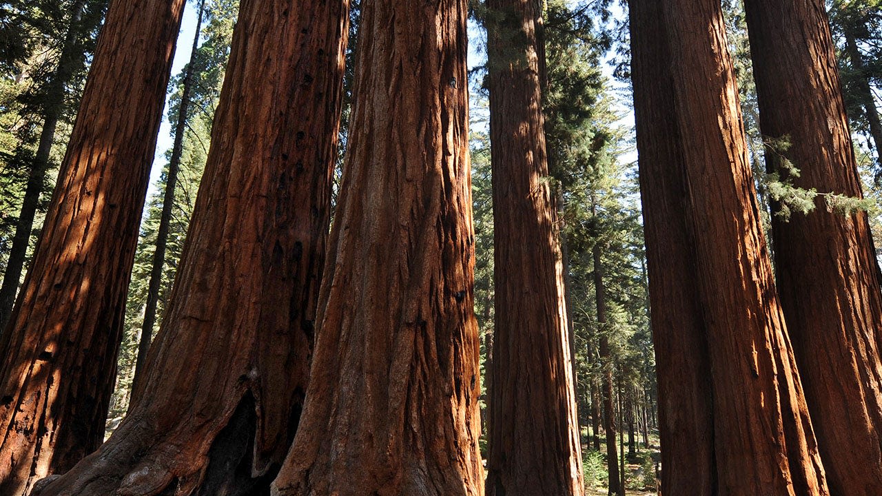 Here are the top US national parks to visit with kids