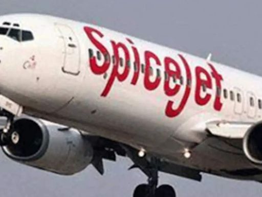 SpiceJet says Sun Group's claims of damages are unfounded