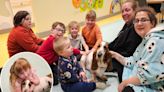 Therapy dog providing support for customers at play café