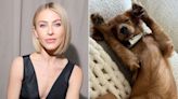 Julianne Hough Starts Every Morning Playing with Her New Puppy in Bed: 'Changes Your Energy' (Exclusive)