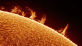 Astrophotographer captures stunningly detailed photos of our 'fuzzy' sun