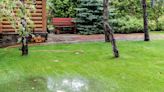 12 Ways to Fix a Soggy Yard