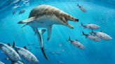 Dinosaur-era fossils of sea lizard with "demon's face" found in Morocco